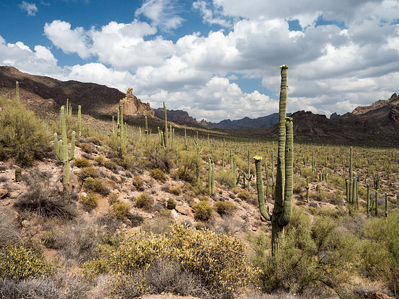 Arizona 2018