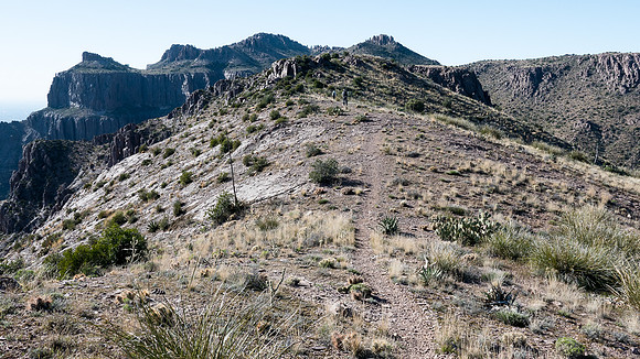 Arizona 2015 - Superstitions Ridge Hike (Mar)