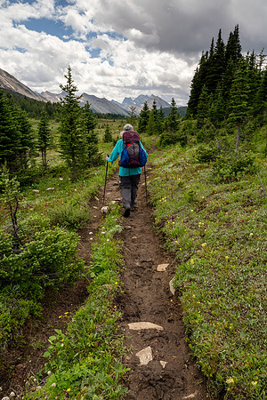 Banff National Park 2025