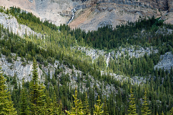 Pacific NW 2019