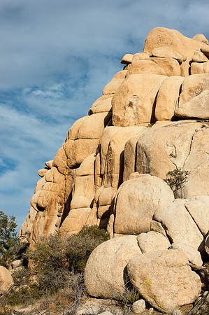 Joshua Tree National Park