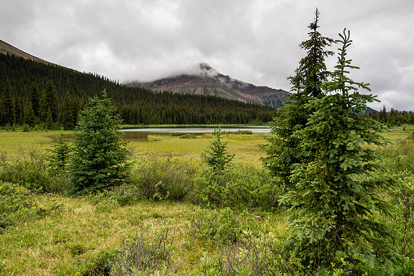 Banff National Park 2025