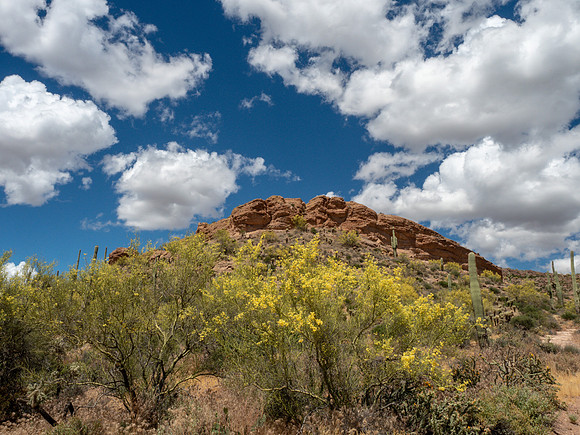 Arizona 2019