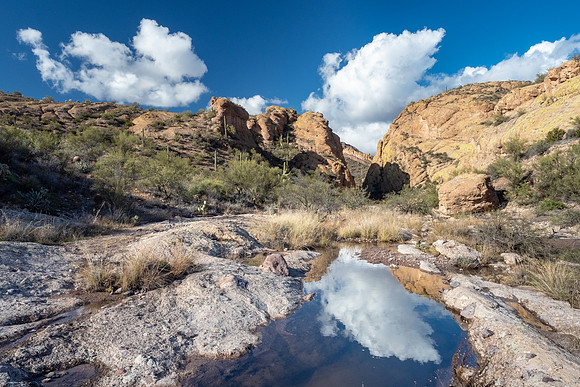 Arizona 2019