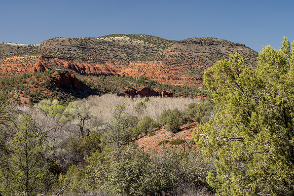 Arizona 2021