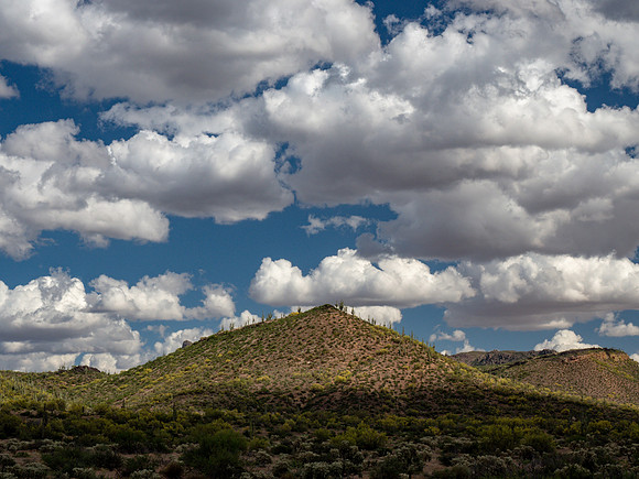 Arizona 2019