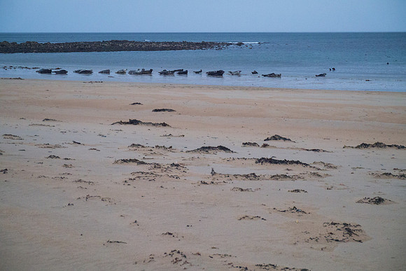 Scotland 2012