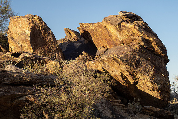 Arizona 2021