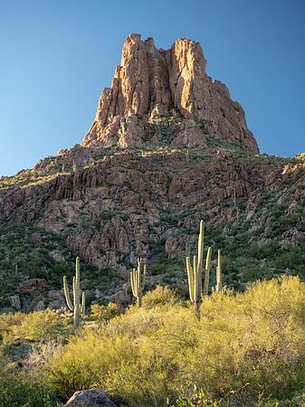 Arizona 2019
