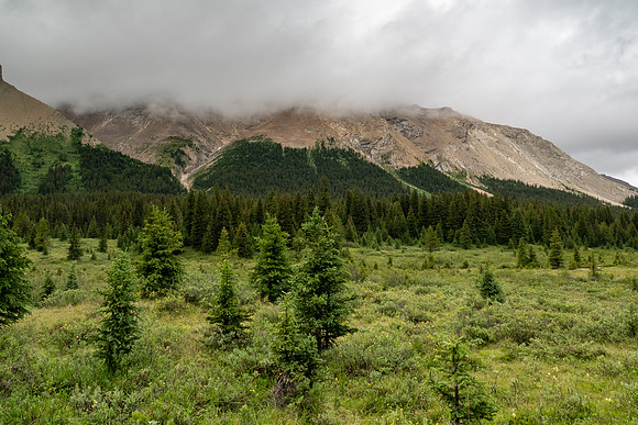 Banff National Park 2025