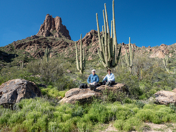 Arizona 2019