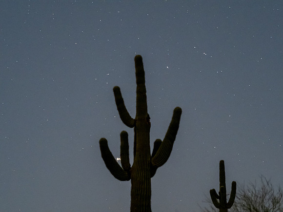 Arizona 2020
