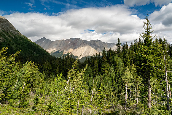 Banff National Park 2025