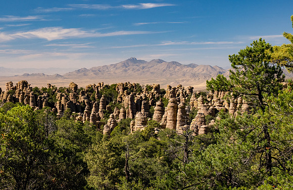 Arizona 2024