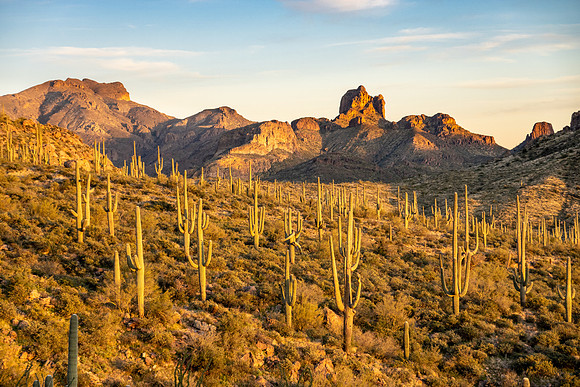 Arizona 2019