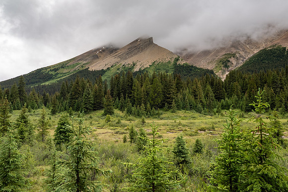 Banff National Park 2025