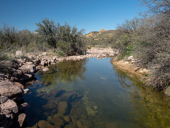 Arizona 2019