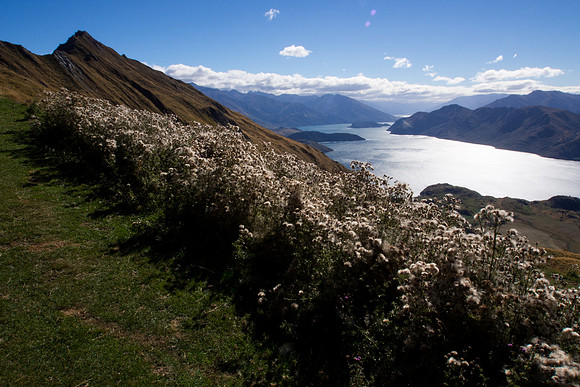 New Zealand 2013