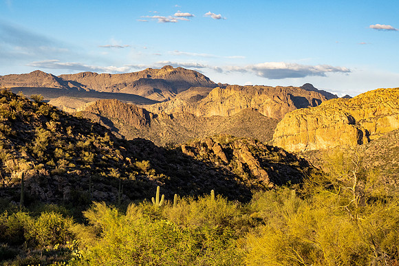 Arizona 2021