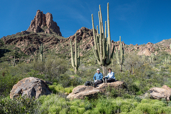 Arizona 2019
