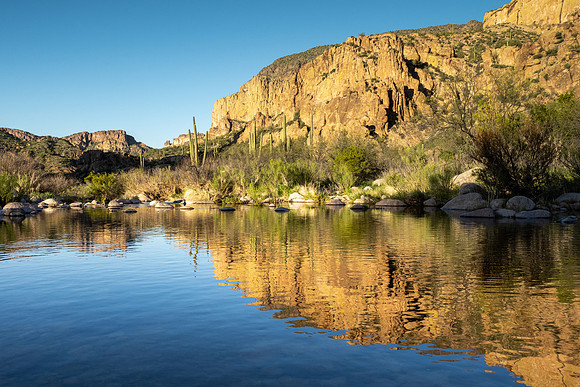 Arizona 2020