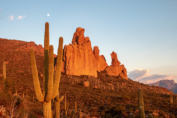 Arizona 2019