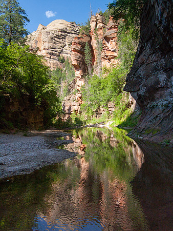 Arizona 2005