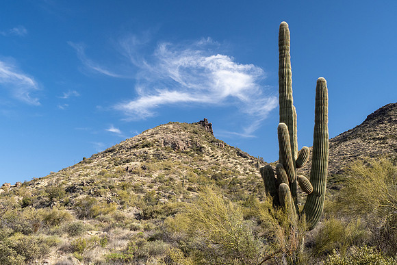 Arizona 2021