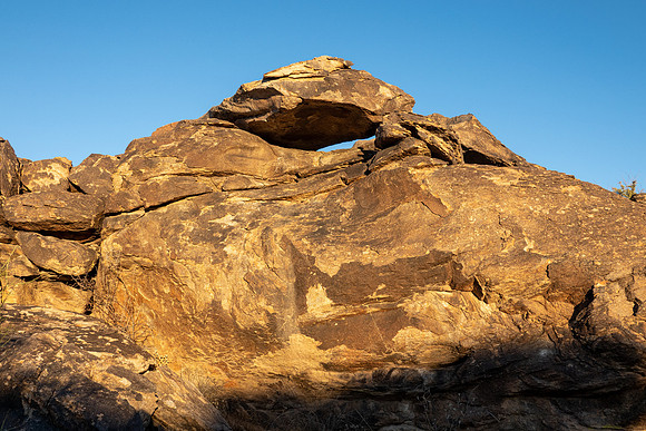 Arizona 2019