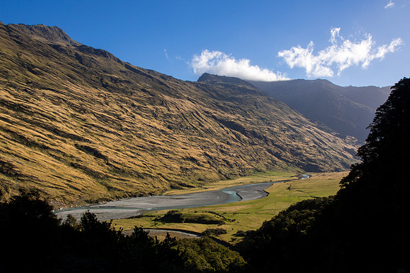 New Zealand 2013