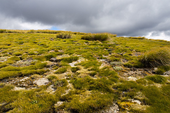 New Zealand 2013