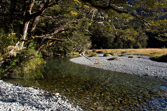 New Zealand 2013