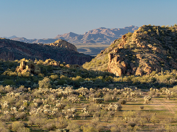 Arizona 2019