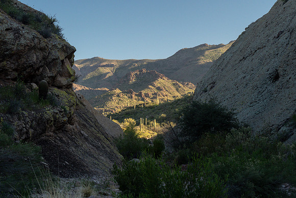Arizona 2019