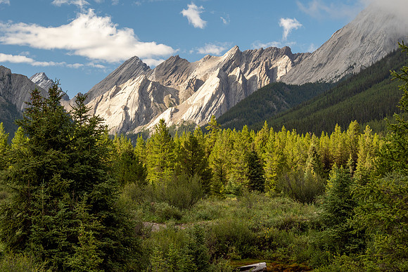 Banff National Park 2025