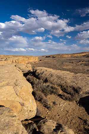 New Mexico 2025