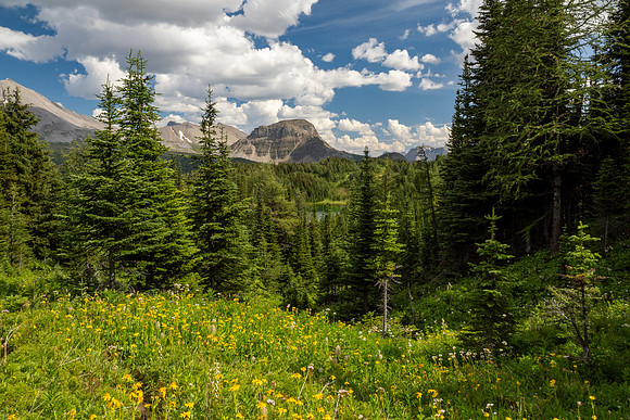 Banff National Park 2025