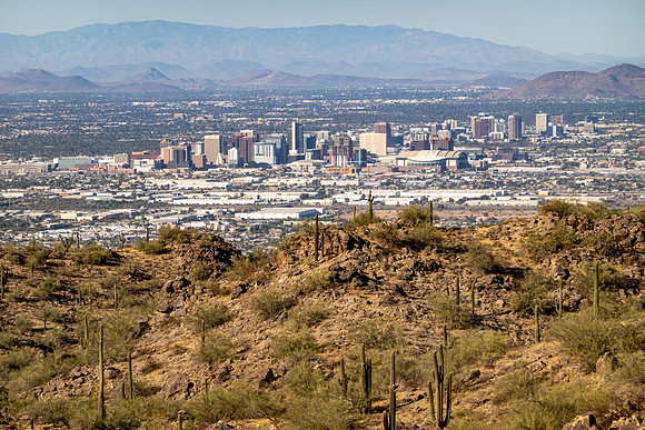 Arizona 2020