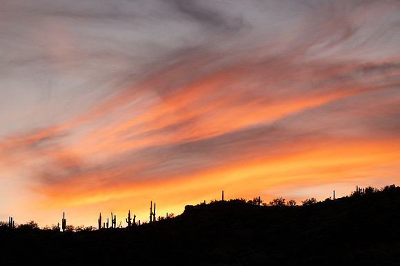 Arizona 2020