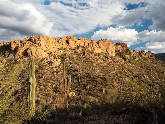 Arizona 2018