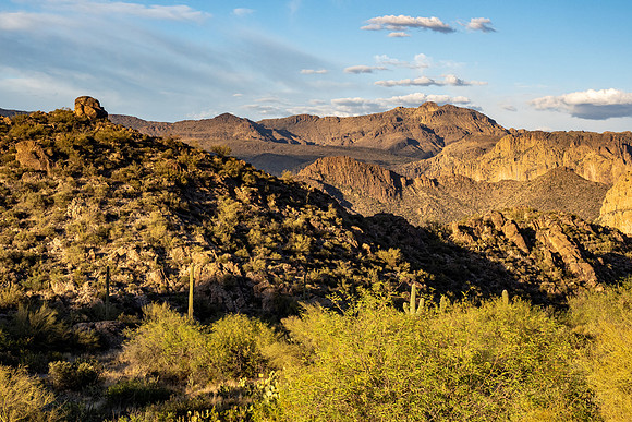 Arizona 2021