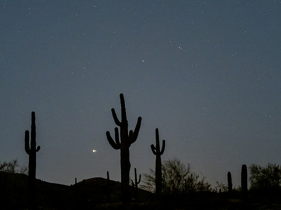 Arizona 2020