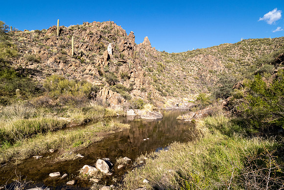 Arizona 2020