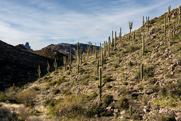 Arizona 2019