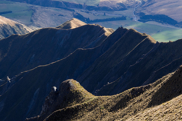 New Zealand 2013