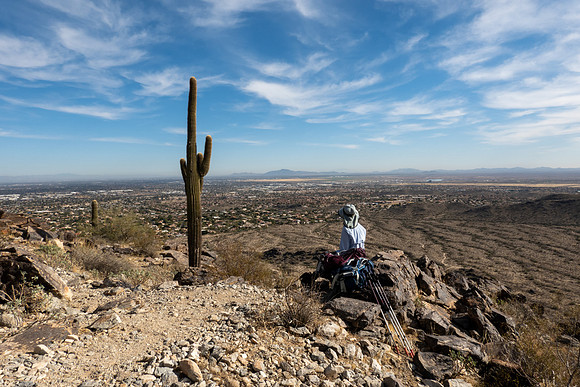 Arizona 2021