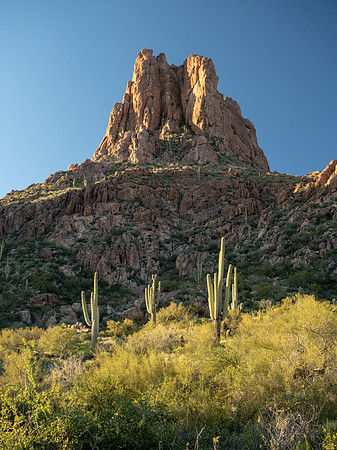 Arizona 2019