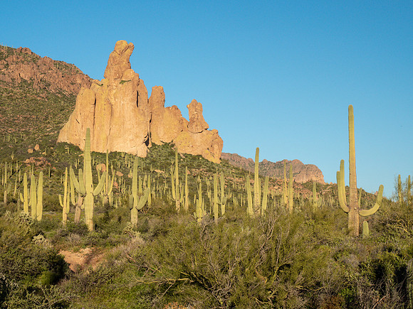 Arizona 2019