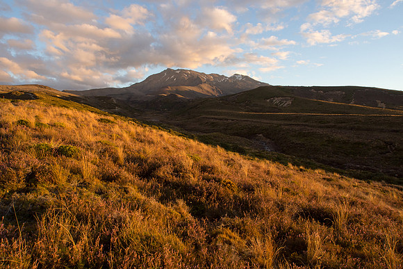 New Zealand 2013