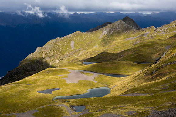 New Zealand 2013